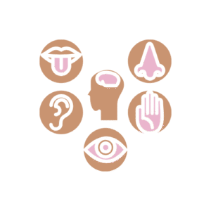 An illustration of the five senses shwoing an ear, the nose, an eye, mouth with tongue and finger for touch