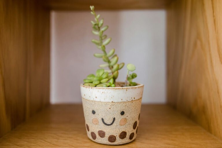 A little houseplant sitting on a shelf in a pot with a happy face